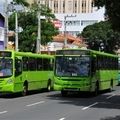 Strans libera faixas exclusivas e corredores de ônibus para todos os condutores