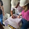 Equipe de engenharia da FMS avalia estrutura do Hospital do Dirceu