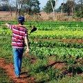 Senado vai analisar prazo de adesão ao Programa de Regularização Ambiental