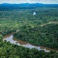 Senado analisará estímulo a mercado de carbono na gestão de florestas