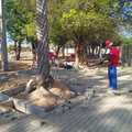 Viver+Teresina transforma área de lixão em parque focado no esporte, lazer e arborização