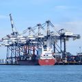 Empresas brasileiras internacionais aumentam investimentos no exterior