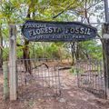 Governador sanciona lei que cria a Rota Turística de Paleontologia da Grande Teresina