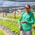 Aprovado empréstimo para o Projeto Piauí Verde e Sustentável