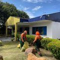 SDU Sudeste inicia mutirão de limpeza nos CMEIs