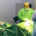 Hospital Estadual Dr. Júlio Hartman realizou mais de mil partos em 2024