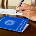 Piauí apresentou saldo de 13.384 empregos entre os meses de janeiro a dezembro de 2024