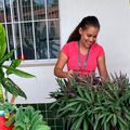 Estudantes Seduc mobilizam comunidade no combate à dengue em Arraial do Piauí