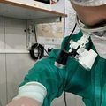 HEDA em Parnaíba realiza primeira cirurgia oral na UTI