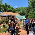 Escola de Oeiras realiza Dia de Campo com diversas atividades