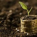 Governo federal inicia ação na segunda (24) para renegociar dívidas de pequenos agricultores.