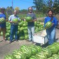 Programas de alimentos transformam a vida de agricultores familiares do Piauí