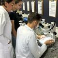 UESPI e UECE firmam parceria no campo da Zoologia