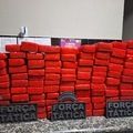Polícia Militar do Piauí apreende 293 tabletes de maconha avaliados em R$ 3 milhões em Valença