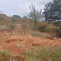 Seca Verde afeta 127 municípios piauienses, alerta Semarh