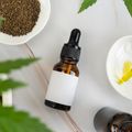 Anvisa aprova consulta pública para atualizar regulamentação de cannabis