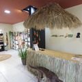 Rafael Fonteles inaugura Casa do Artesão Design Mestre Albertino nesta quinta (3)
