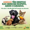 Semarh promove ações de conscientização contra maus-tratos animais no 
