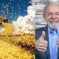 Agro brasileiro ganhará mais espaço após retaliações China x EUA