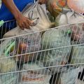 Custo da cesta básica sobe em 14 capitais brasileiras em março