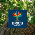 Brics lança concurso para startups lideradas por mulheres