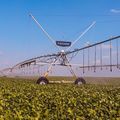 Baixa Grande do Ribeiro é o 22º município mais rico do Brasil no agronegócio