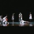 Balé da Cidade celebra Dia da Dança com DançaOcupa no Teatro João Paulo II