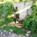 SDU Centro intensifica serviços de capina em avenidas e cemitério de Teresina