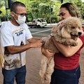 Etapa urbana de vacinação contra a raiva iniciou neste sábado (26), em Teresina