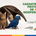 Semarh lança Cadastro para Protetores de Animais Independentes