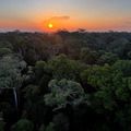 Começa hoje em Brasília a 5ª Conferência Nacional do Meio Ambiente