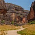 Piauí reforça compromisso com a preservação da biodiversidade neste 22 de Maio