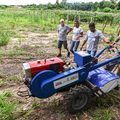 PI apoia 71 mil famílias rurais com R\$150 mi para produção sustentável no semiárido