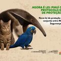 Piauí tem nova lei de proteção animal com ação conjunta entre Meio Ambiente e Segurança Pública