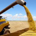 Puxado pela Agropecuária, PIB avança 1,4% no primeiro trimestre