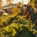 Inscrições abertas para o Mercadão da Agricultura Familiar no 9º Salão do Turismo
