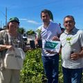 Mais de 217 mil mudas já foram distribuídas pela Semarh em 2025