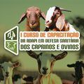 Adapi realiza curso de capacitação em defesa sanitária de caprinos e ovinos nesta terça (18)