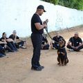 PM-PI realiza solenidade de abertura do II Curso de Cinotecnia, nesta quarta (18)