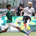 Palmeiras elimina Botafogo e avança na Copa do Mundo de Clubes da Fifa