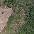 Estado do Piauí planeja créditos de carbono para proteger floresta tropical