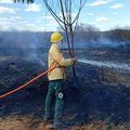 Brigadistas controlam incêndio de grande proporções em Bom Jesus