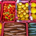 Inscrições do PAS, que vai investir R\$ 5 mi na agricultura familiar, terminam domingo (20)