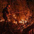 Fundo Amazônia aprova R$ 150 milhões para prevenção e combate a incêndios no Cerrado e no Pantanal