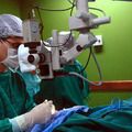 Câncer de intestino que vitimou Preta Gil é o 3º mais comum no país