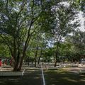 Teresina é destaque global por ações rumo a uma cidade verde e resiliente ao clima