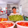 Agricultura familiar garante alimentos saudáveis e melhora a renda em todo o Piauí