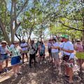 Turistas mineiros ficam encantados com a Floresta Fóssil