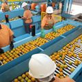 Confira a lista de quase 700 produtos que não serão taxados pelos EUA