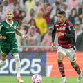 Palmeiras e Flamengo decidem 1º tetra brasileiro na Libertadores